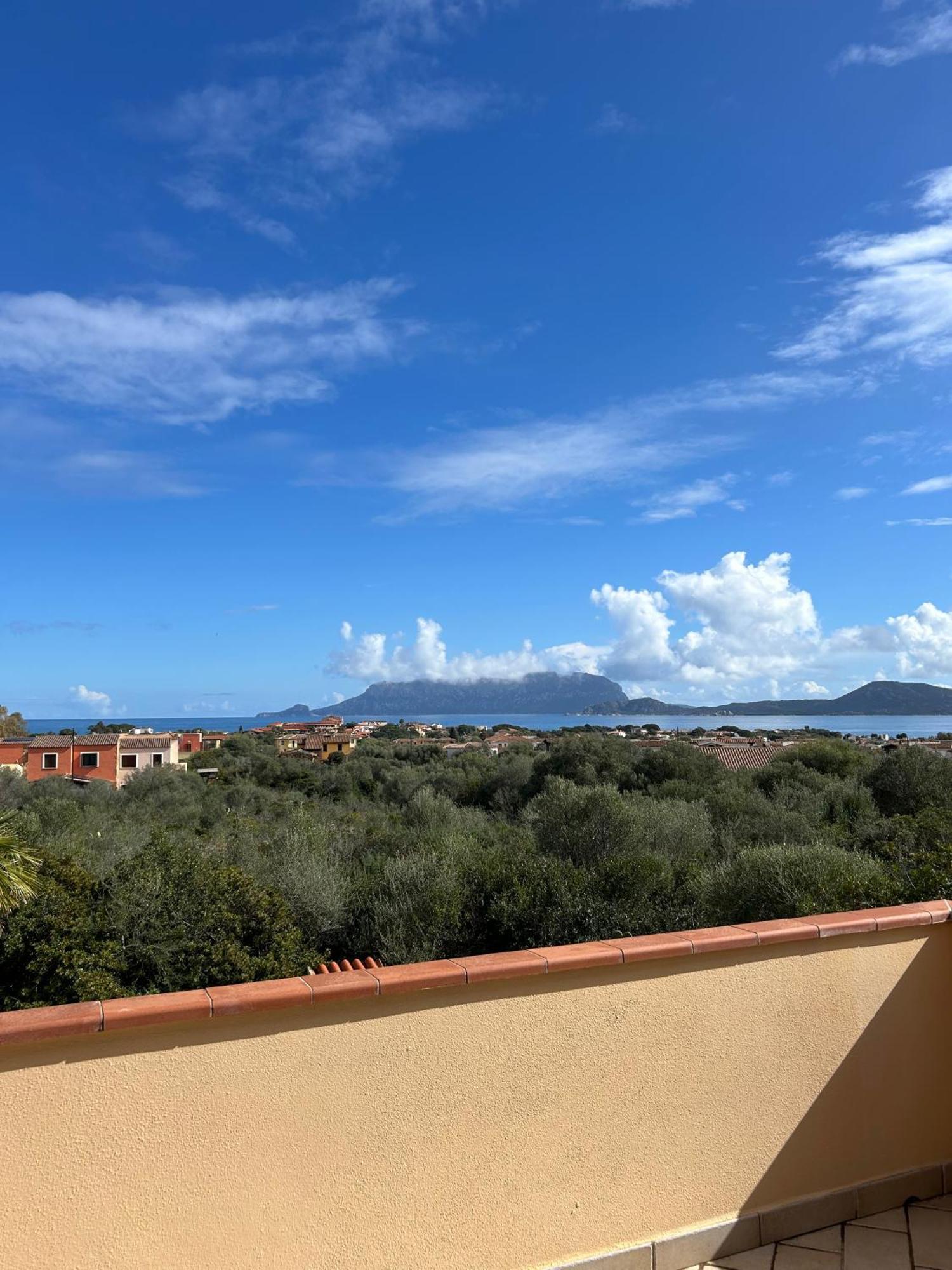 Villa Ulivo Олбия Екстериор снимка